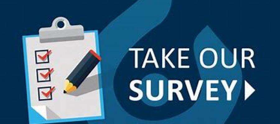take our survey survey, easy voter guide